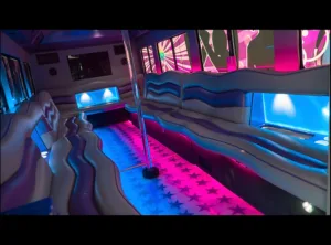 20 Pax Party Bus with dclimocar4u.com