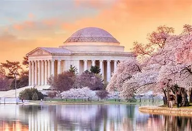 National-Cherry-Blossom-Festival