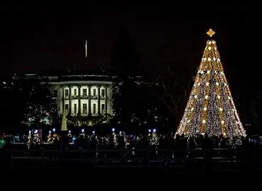 National-Christmas-Tree-Lighting-Ceremony.